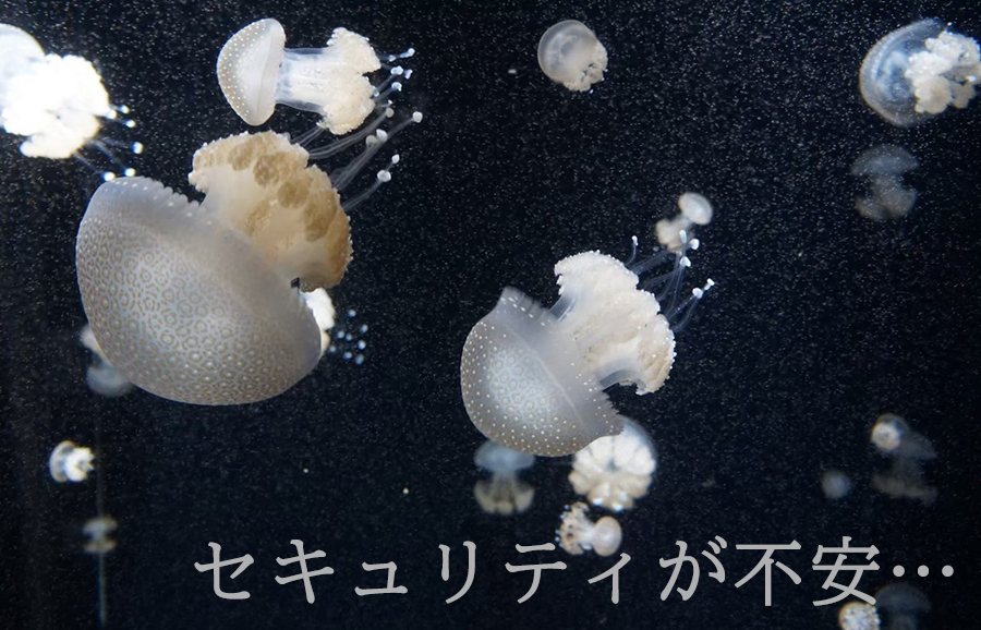 ①危険そうなクラゲ